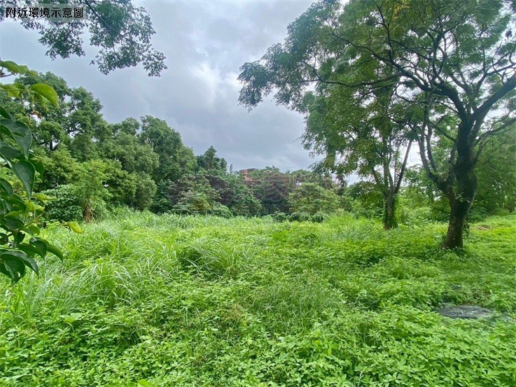 宜蘭橘之鄉旁絕佳地段土地