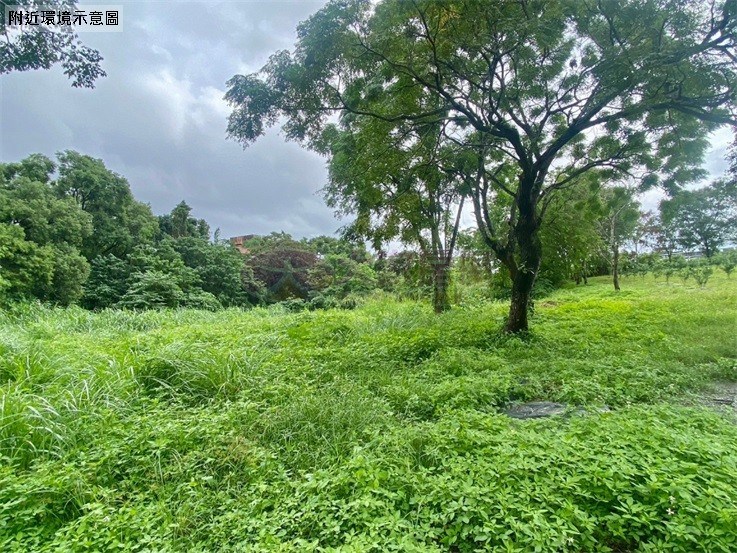 宜蘭橘之鄉旁絕佳地段土地