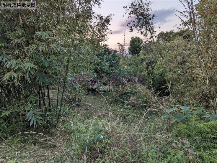 近貓纜站觀光土地
