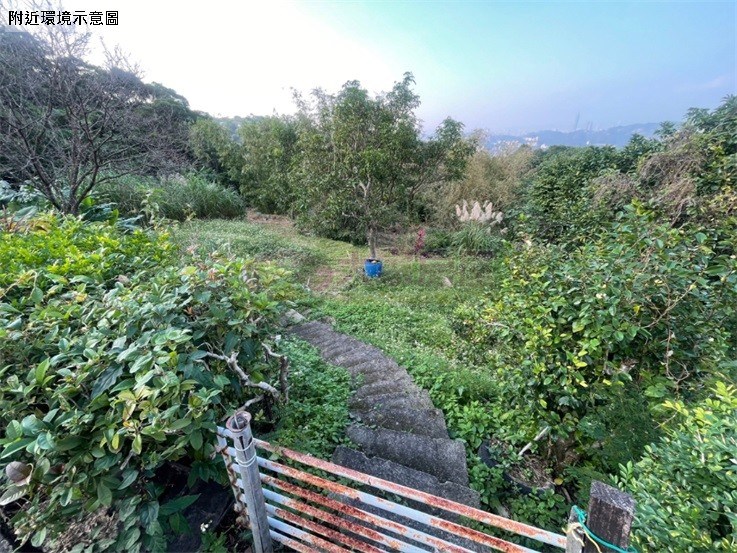 近貓纜站觀光土地