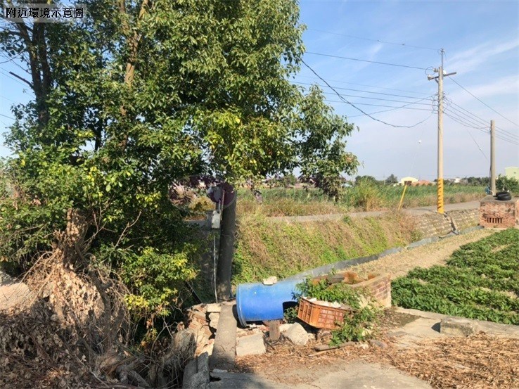 崙背東興段農地