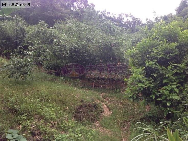 木柵頭廷土地