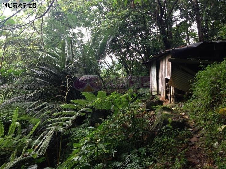 木柵頭廷土地