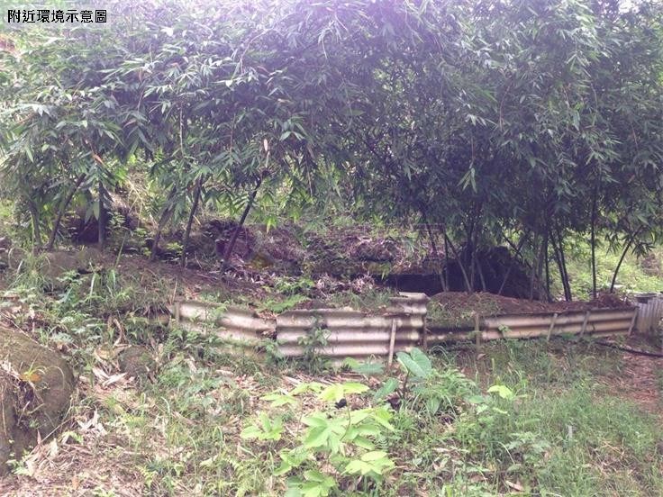 木柵頭廷土地