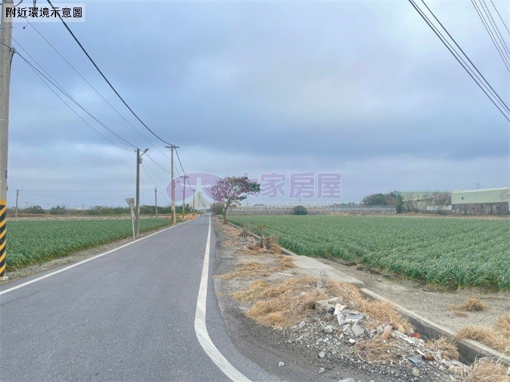 台西特定農業區農牧用地