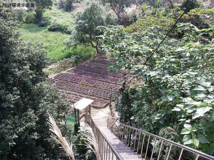 阿柔村王軍寮活泉水土地