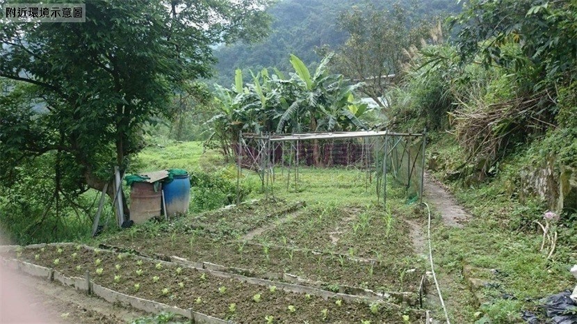 阿柔村王軍寮活泉水土地