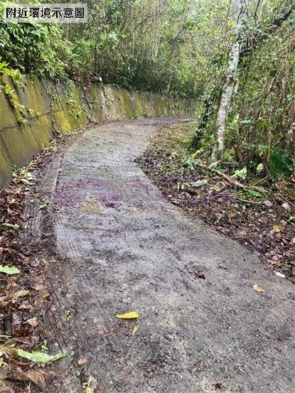 鹿谷初鄉臨路已整路開發農地