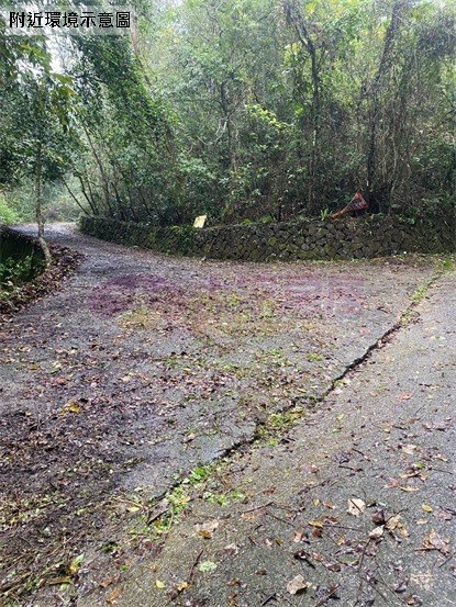 鹿谷初鄉臨路已整路開發農地