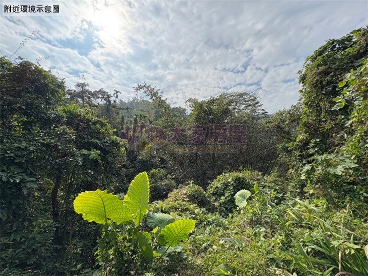鹿谷初鄉臨路已整路開發農地