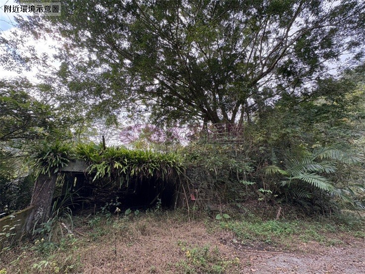鹿谷初鄉臨路已整路開發農地