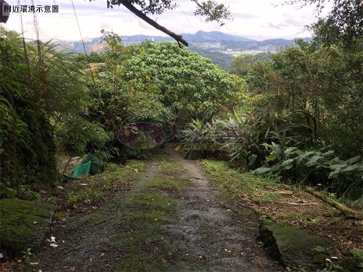 猴山岳景觀休閒農場