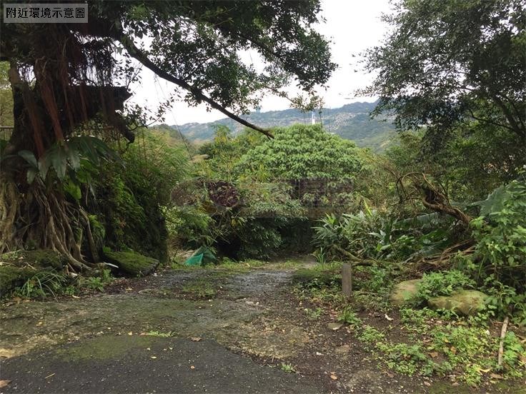 猴山岳景觀休閒農場