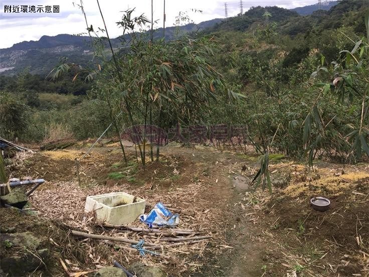 猴山岳景觀休閒農場