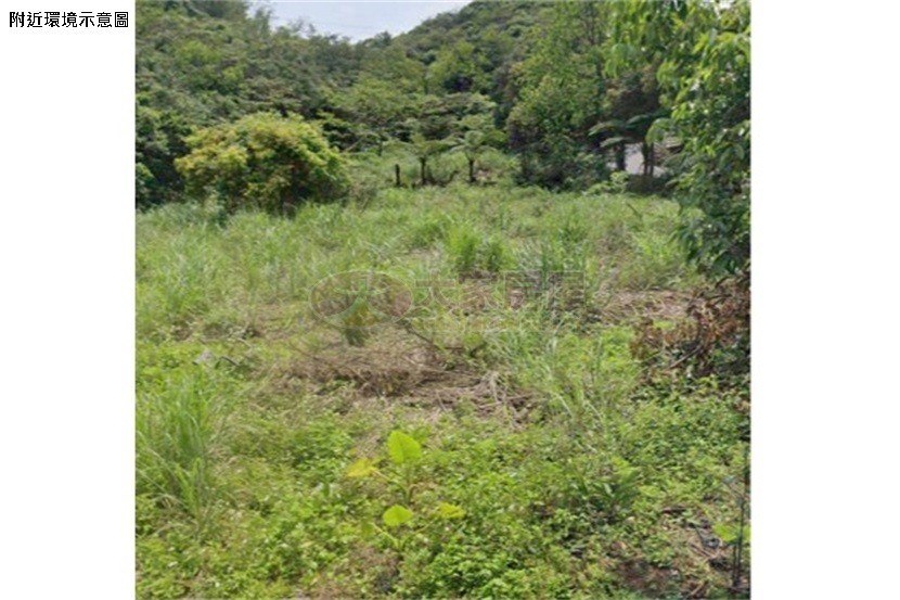 金山財神廟下臨路平坦大土地