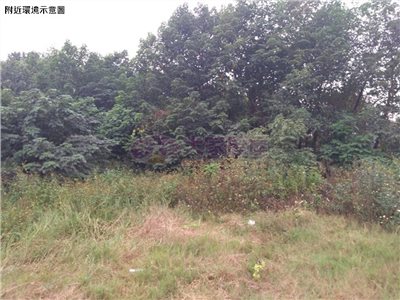 崙背乙種建築用地