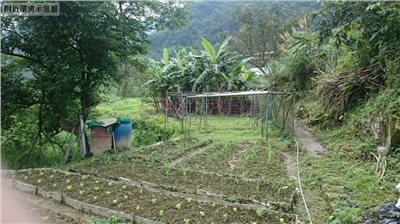 阿柔村王軍寮活泉水土地